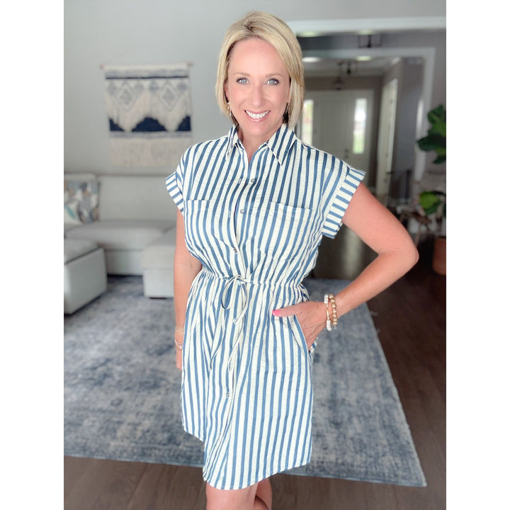 Briar Stripe Mini Dress